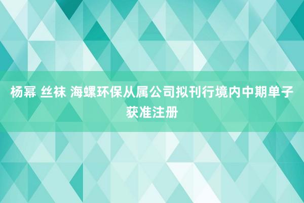 杨幂 丝袜 海螺环保从属公司拟刊行境内中期单子获准注册