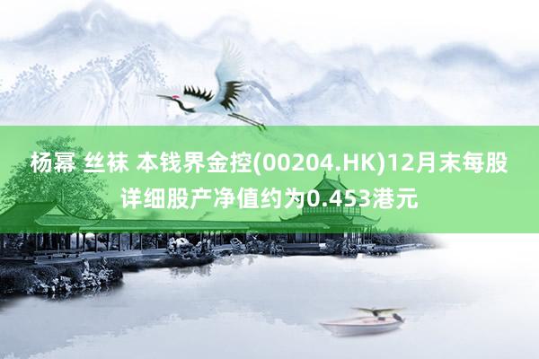 杨幂 丝袜 本钱界金控(00204.HK)12月末每股详细股产净值约为0.453港元