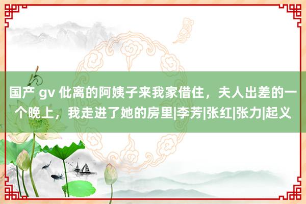 国产 gv 仳离的阿姨子来我家借住，夫人出差的一个晚上，我走进了她的房里|李芳|张红|张力|起义