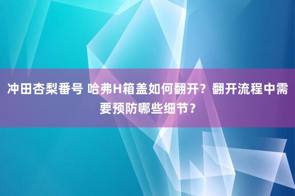 冲田杏梨番号 哈弗H箱盖如何翻开？翻开流程中需要预防哪些细节？